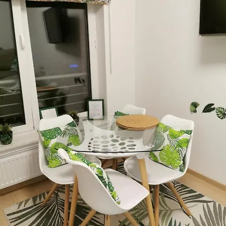 Apartament Srodmiescie Tartaczna 42 *